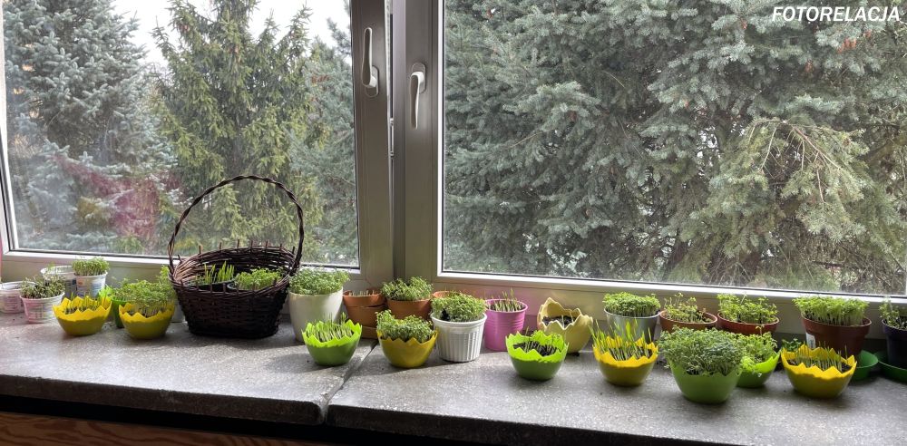 PUK, PUK, KTOS PUKA DO DRZWI