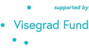 visegradlogosmall